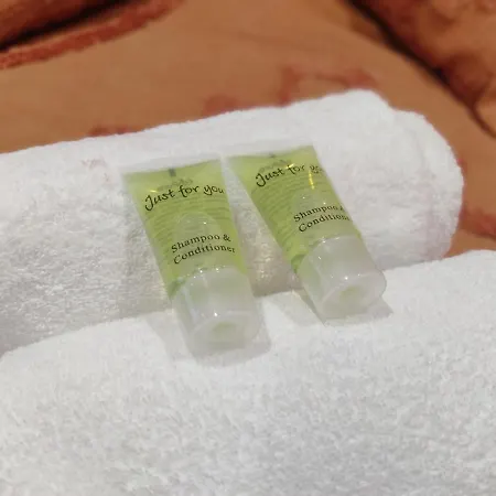 Ng Suitehome - Lille I Centre I Coq Francais - Balneo - Netflix - Wifi * Roubaix