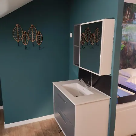 Ng Suitehome - Lille I Centre I Coq Francais - Balneo - Netflix - Wifi * Roubaix